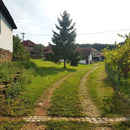 Green * Kursumlija