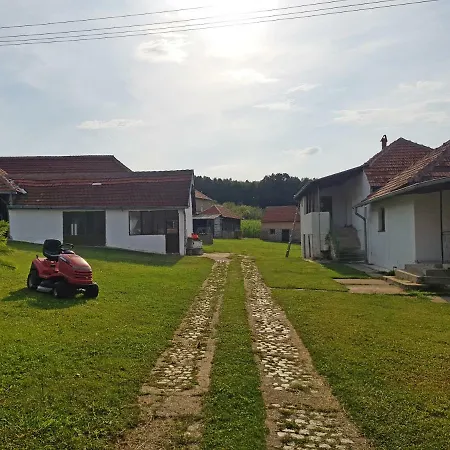 Green * Kursumlija