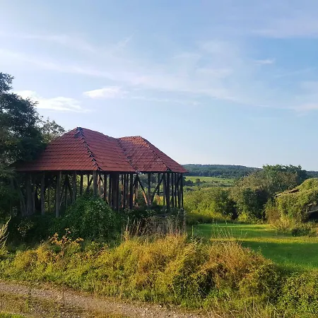 Green Kursumlija