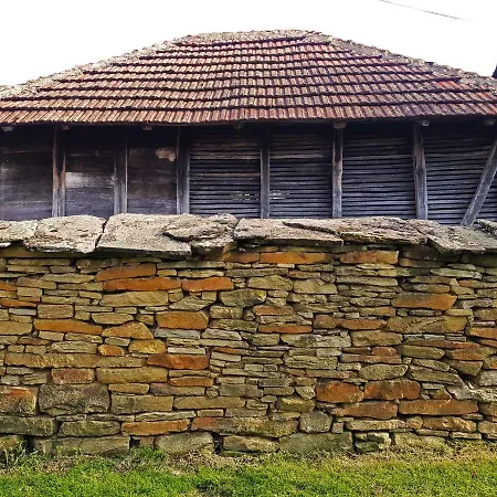 Green Kursumlija